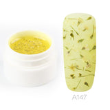 Rosalind 5ML Dried Flower Spring Summer Varnish Decoration Gel Nail Polish